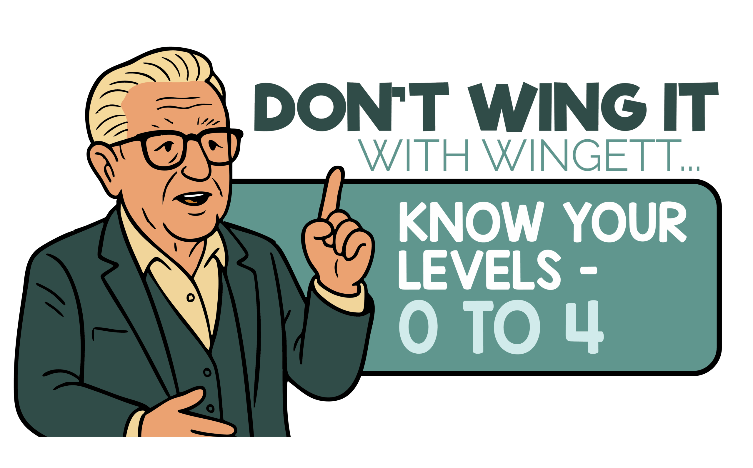 DONT WING IT-02