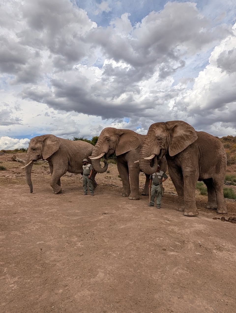 629373691_122215693478279102_178912019324767971_n