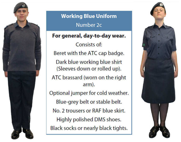 WorkingBlue 2c